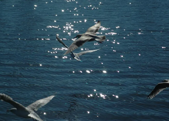 Zorza Hotel Kolobrzeg